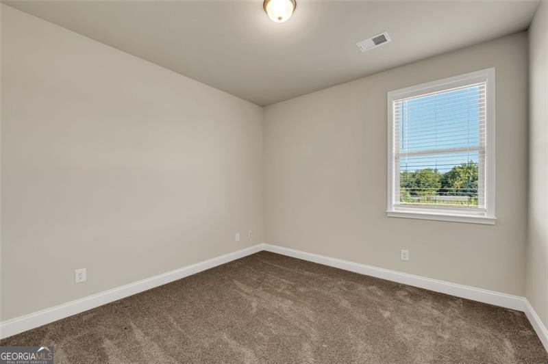 96 LOTT CREEK Court Braselton - 23