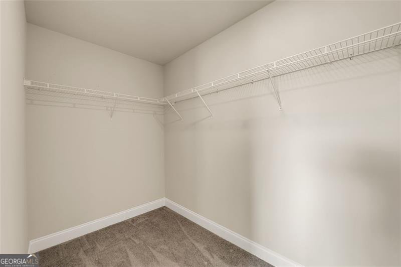 96 LOTT CREEK Court Braselton - 9