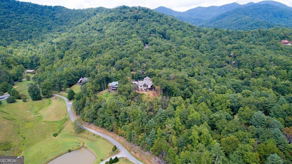 205 Hightower Ridge Drive Hiawassee - 36