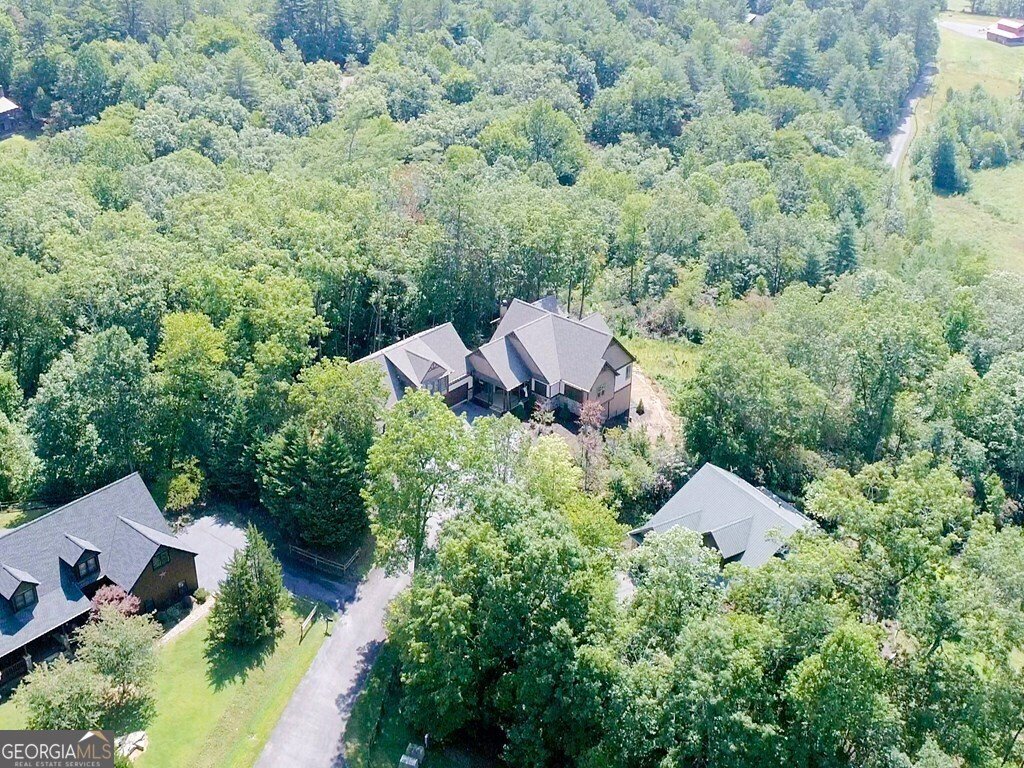 205 Hightower Ridge Drive Hiawassee - 59