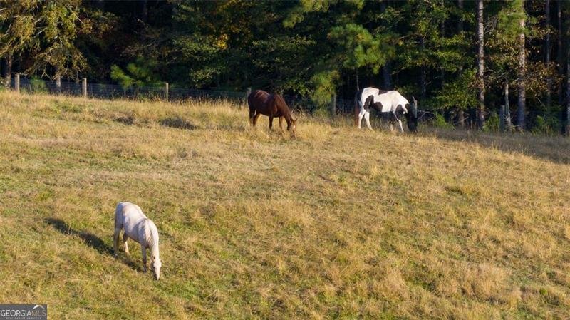 1990 Elder Mill Road Watkinsville - 5