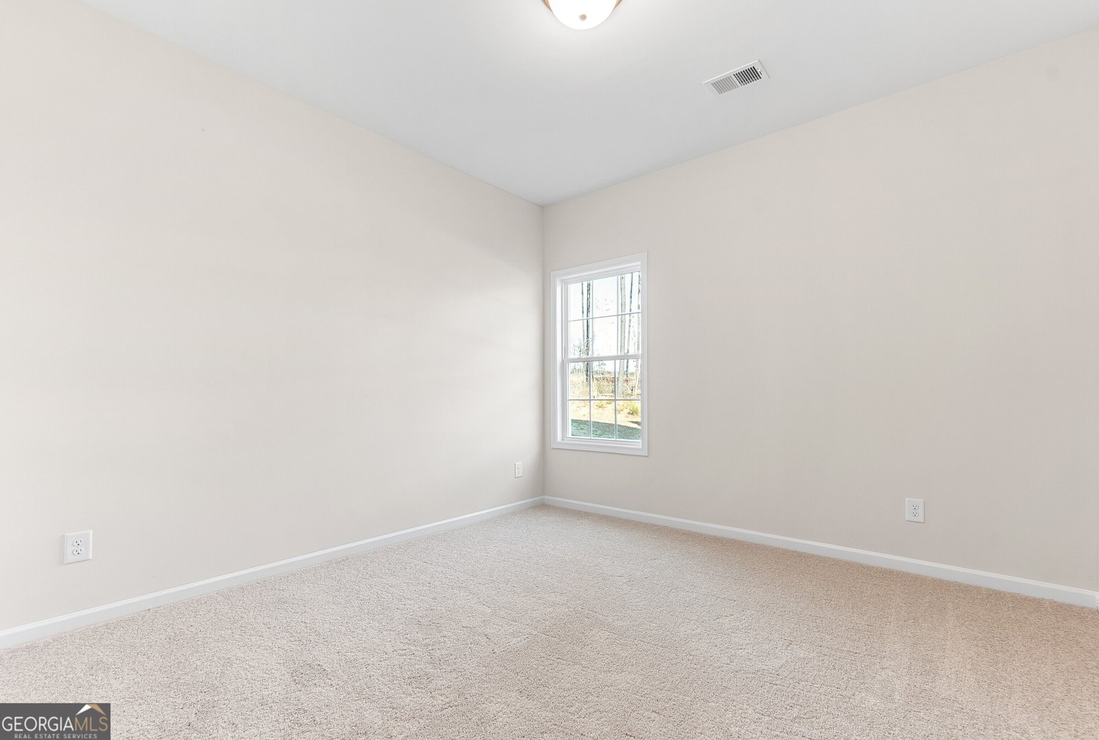 4630 Capulet Court Forsyth - 38