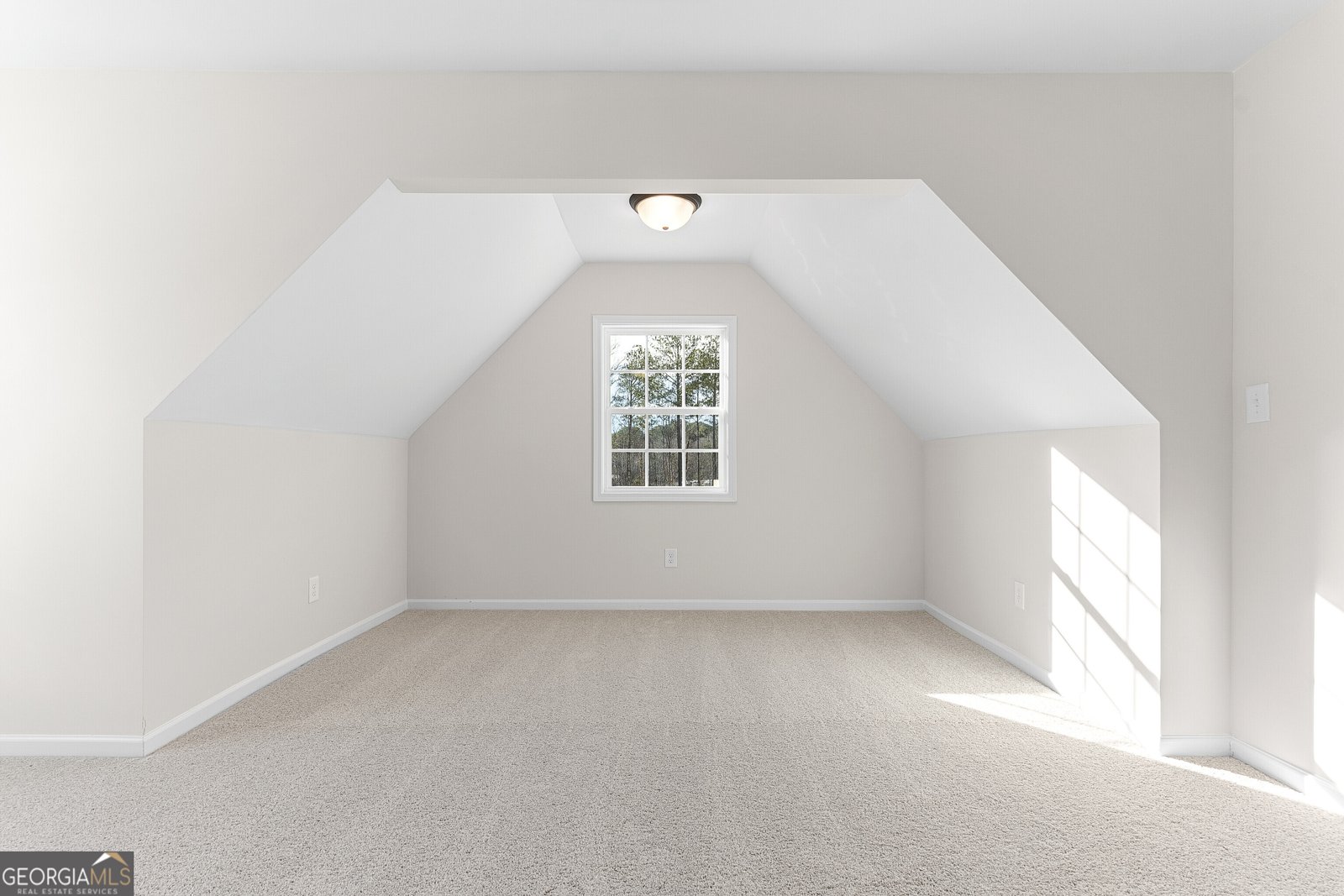 4630 Capulet Court Forsyth - 44