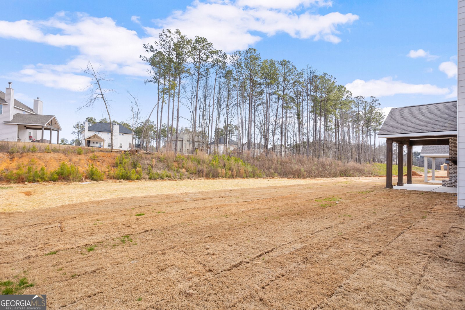 4630 Capulet Court Forsyth - 71