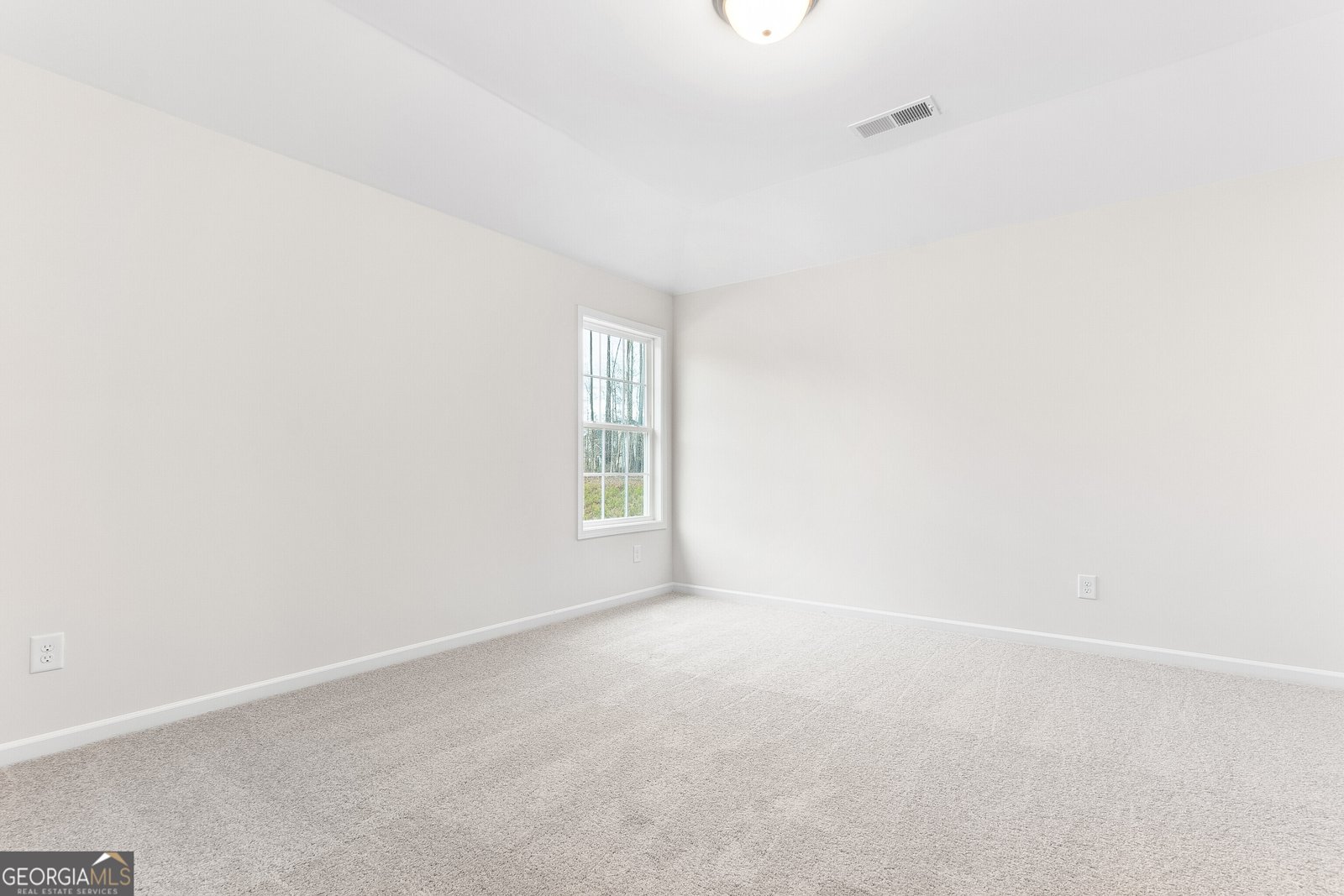 4600 Capulet Court Forsyth - 51