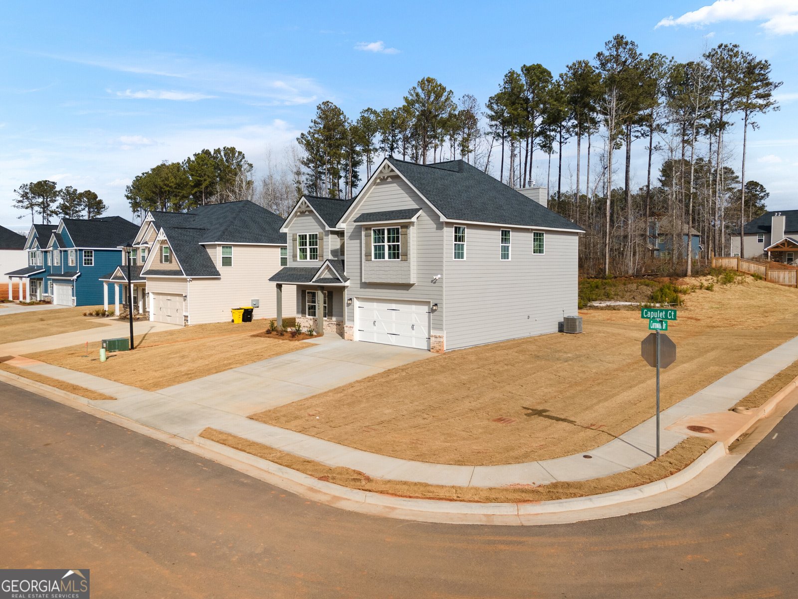 4600 Capulet Court Forsyth - 7
