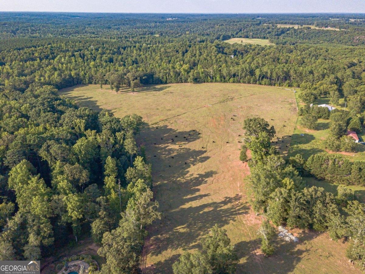 1081 Rehoboth Road Bishop - 10