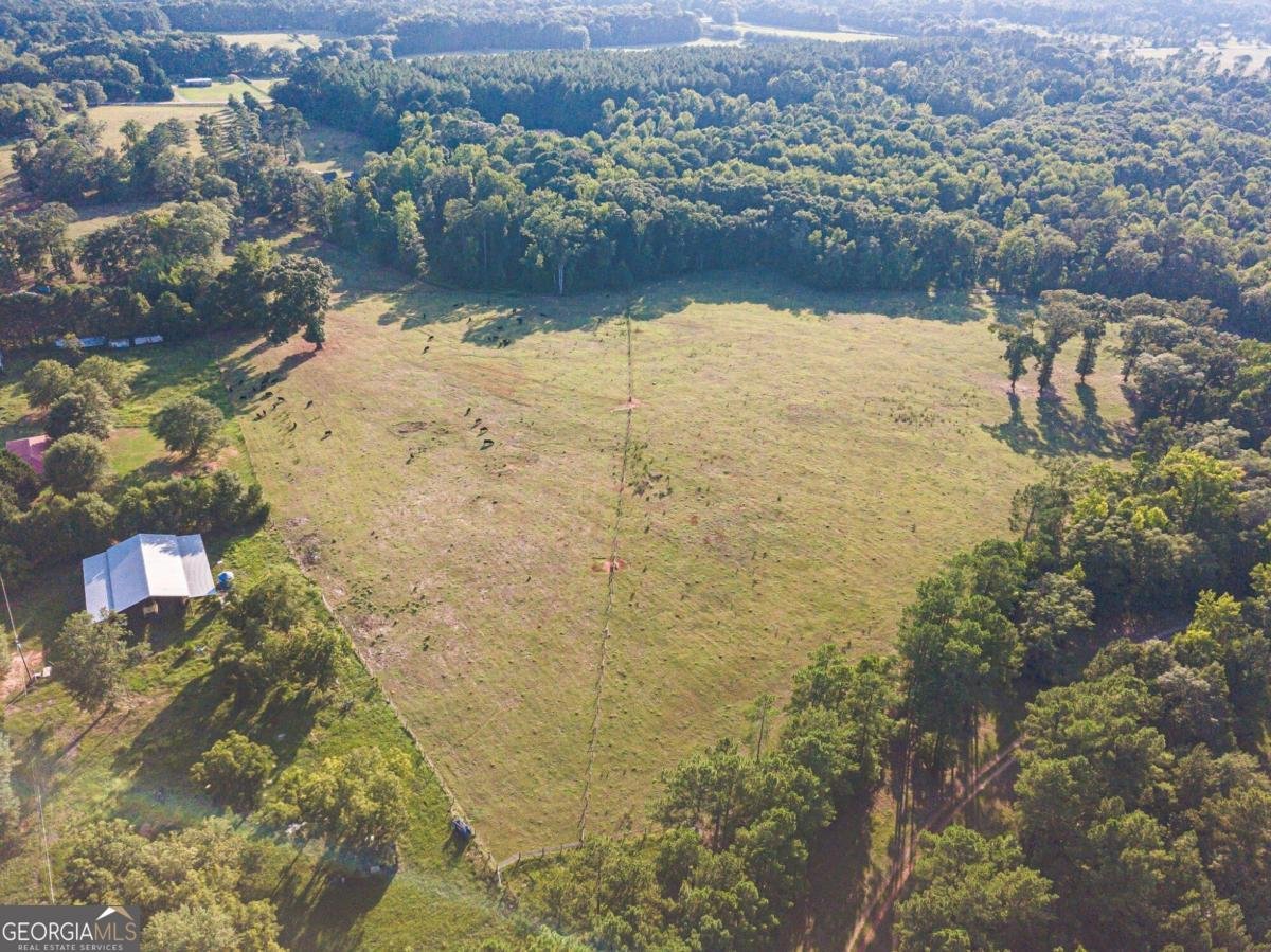 1081 Rehoboth Road Bishop - 13