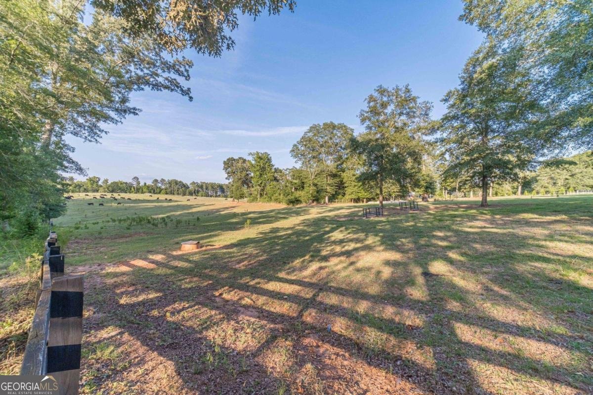 1081 Rehoboth Road Bishop - 27