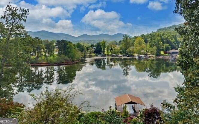 1664 Stonecrest Circle Hiawassee - 40
