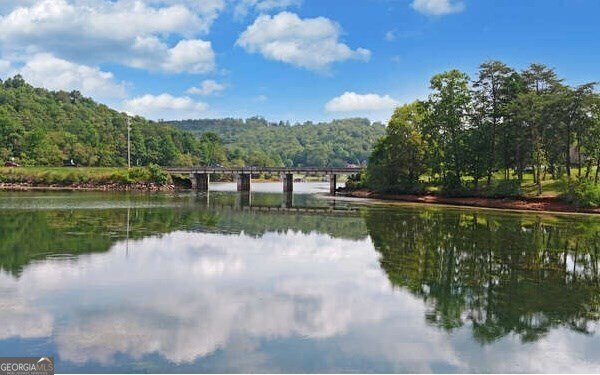 1664 Stonecrest Circle Hiawassee - 46