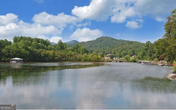 1664 Stonecrest Circle Hiawassee - 69