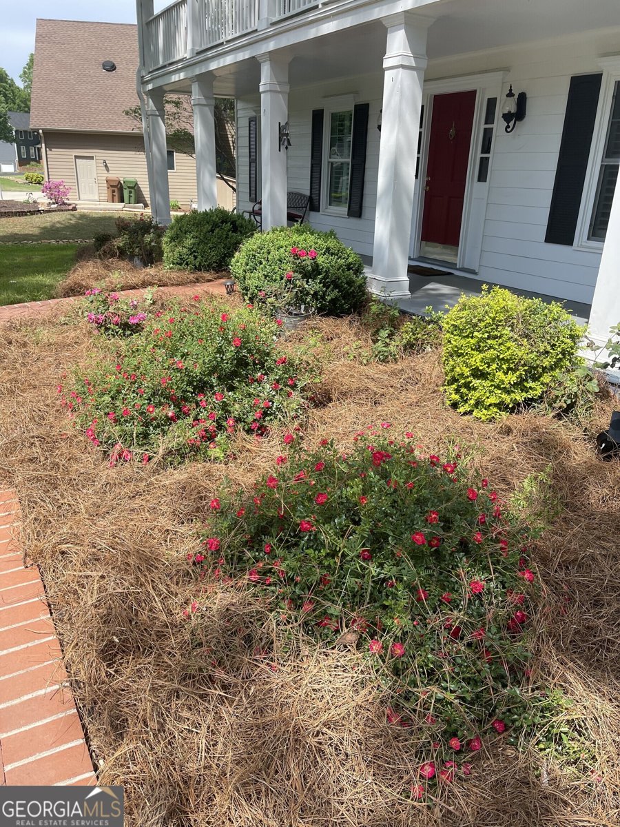 231 Parkview Drive Cartersville - 3
