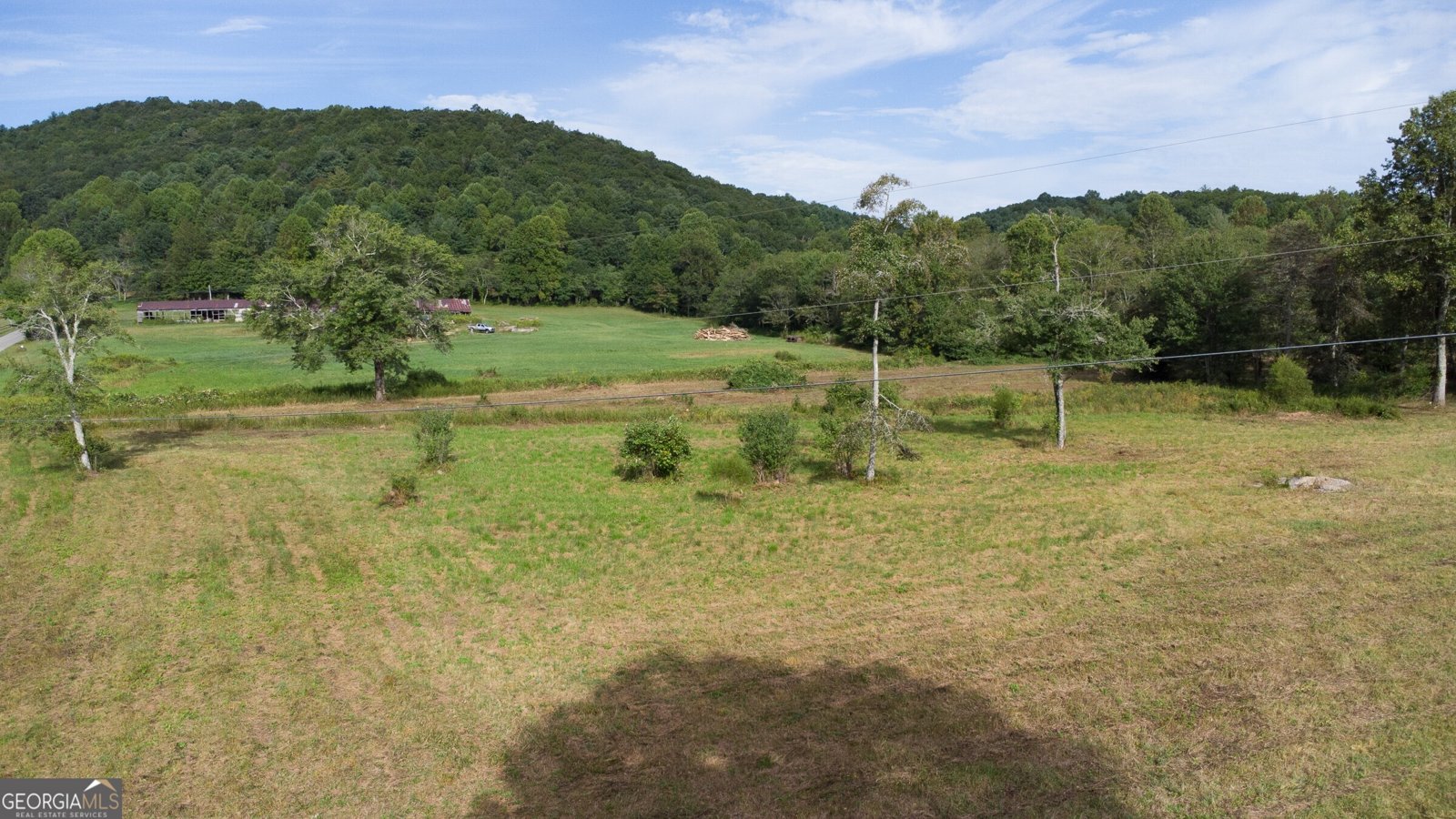 239 Glenn Elliott Road Dahlonega - 13