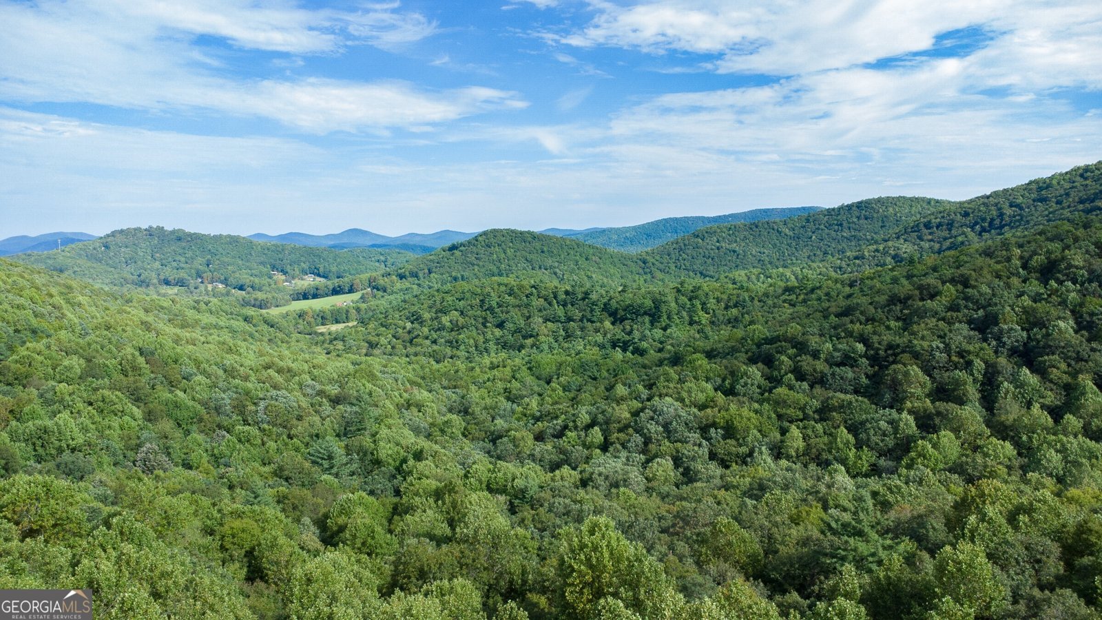 239 Glenn Elliott Road Dahlonega - 16