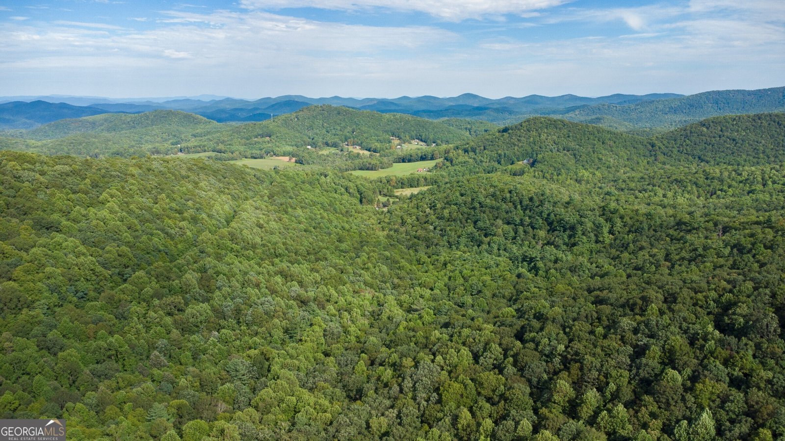 239 Glenn Elliott Road Dahlonega - 17