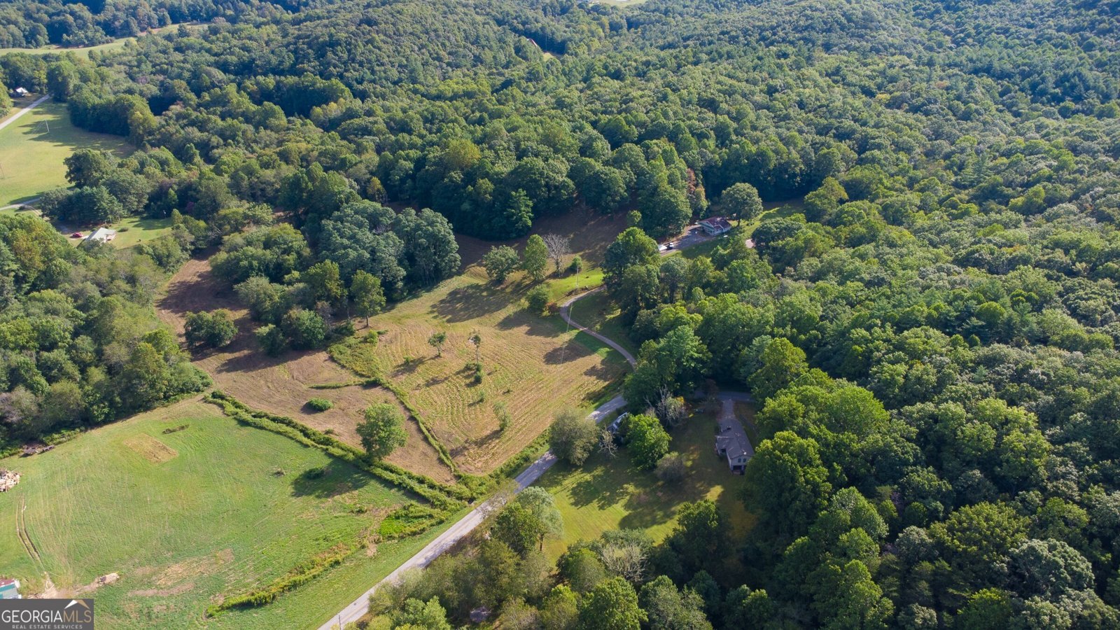 239 Glenn Elliott Road Dahlonega - 25
