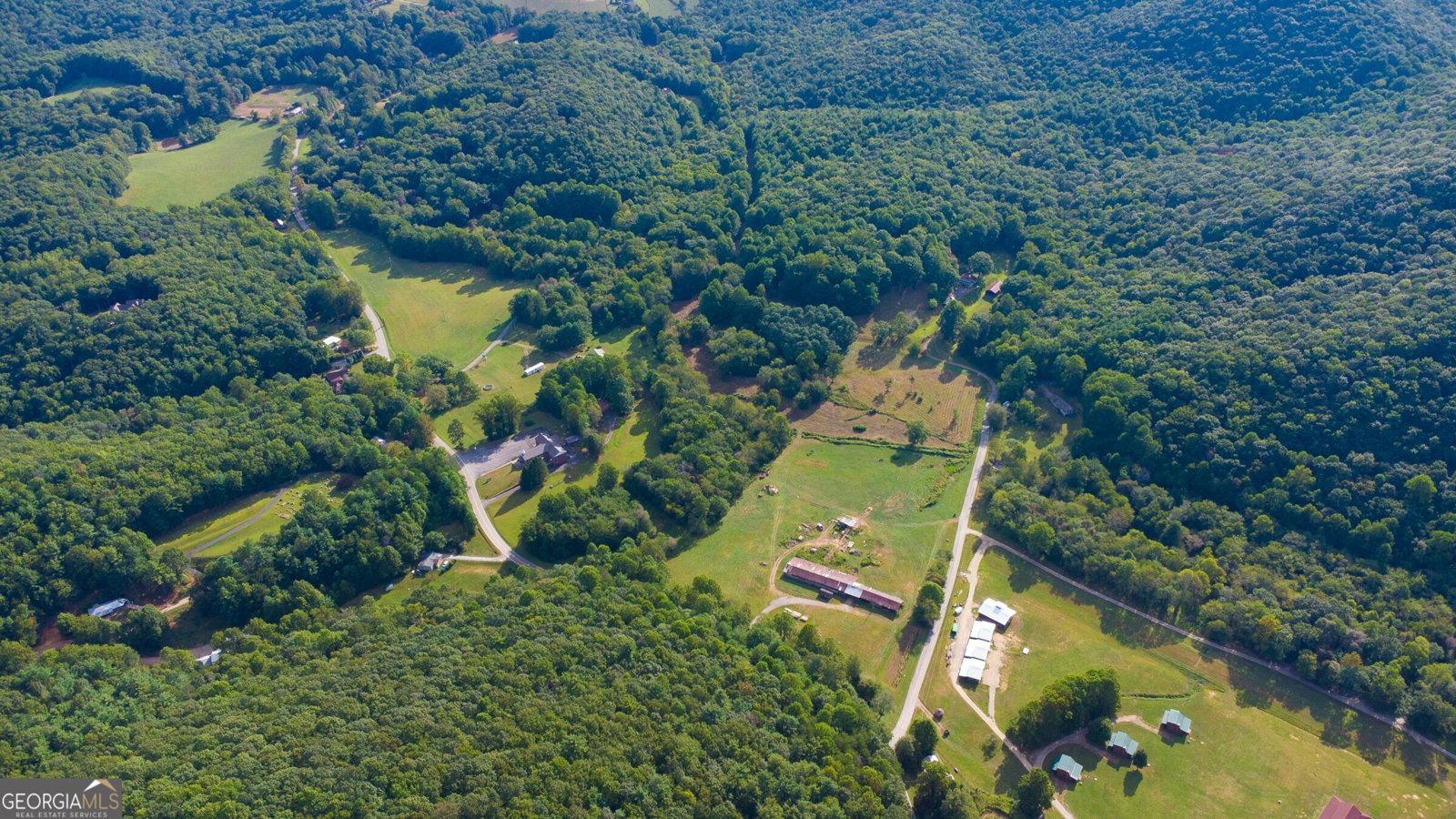 239 Glenn Elliott Road Dahlonega - 3