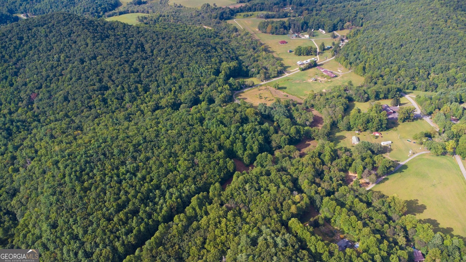 239 Glenn Elliott Road Dahlonega - 8