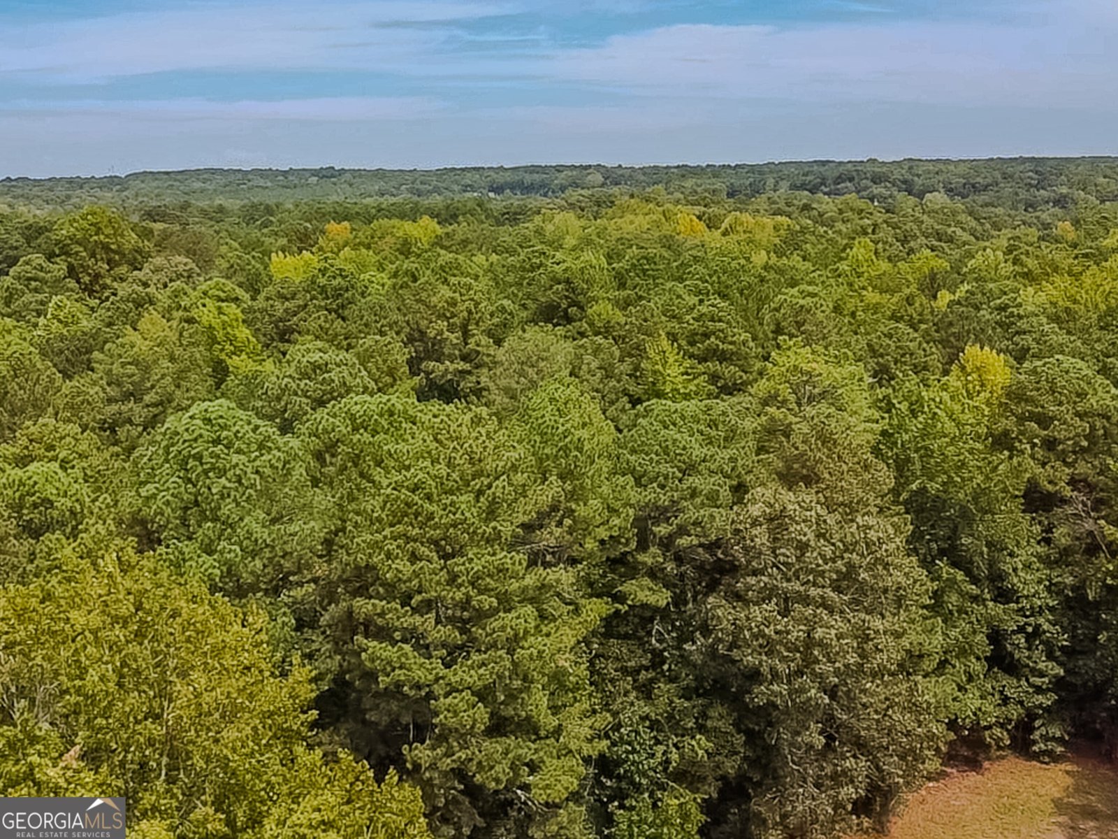 1152 Harbins Road Dacula - Photo 41