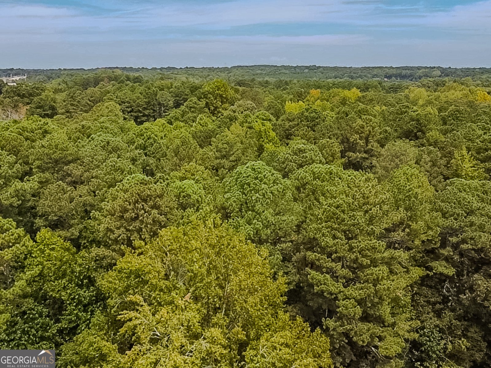 1152 Harbins Road Dacula - Photo 44