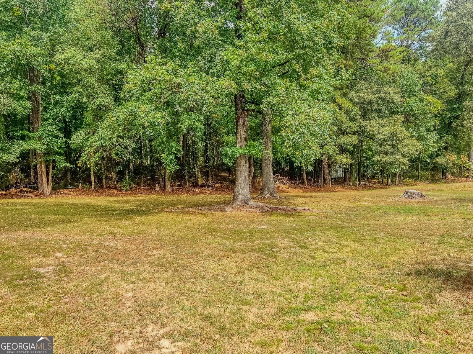 1152 Harbins Road Dacula - Photo 49