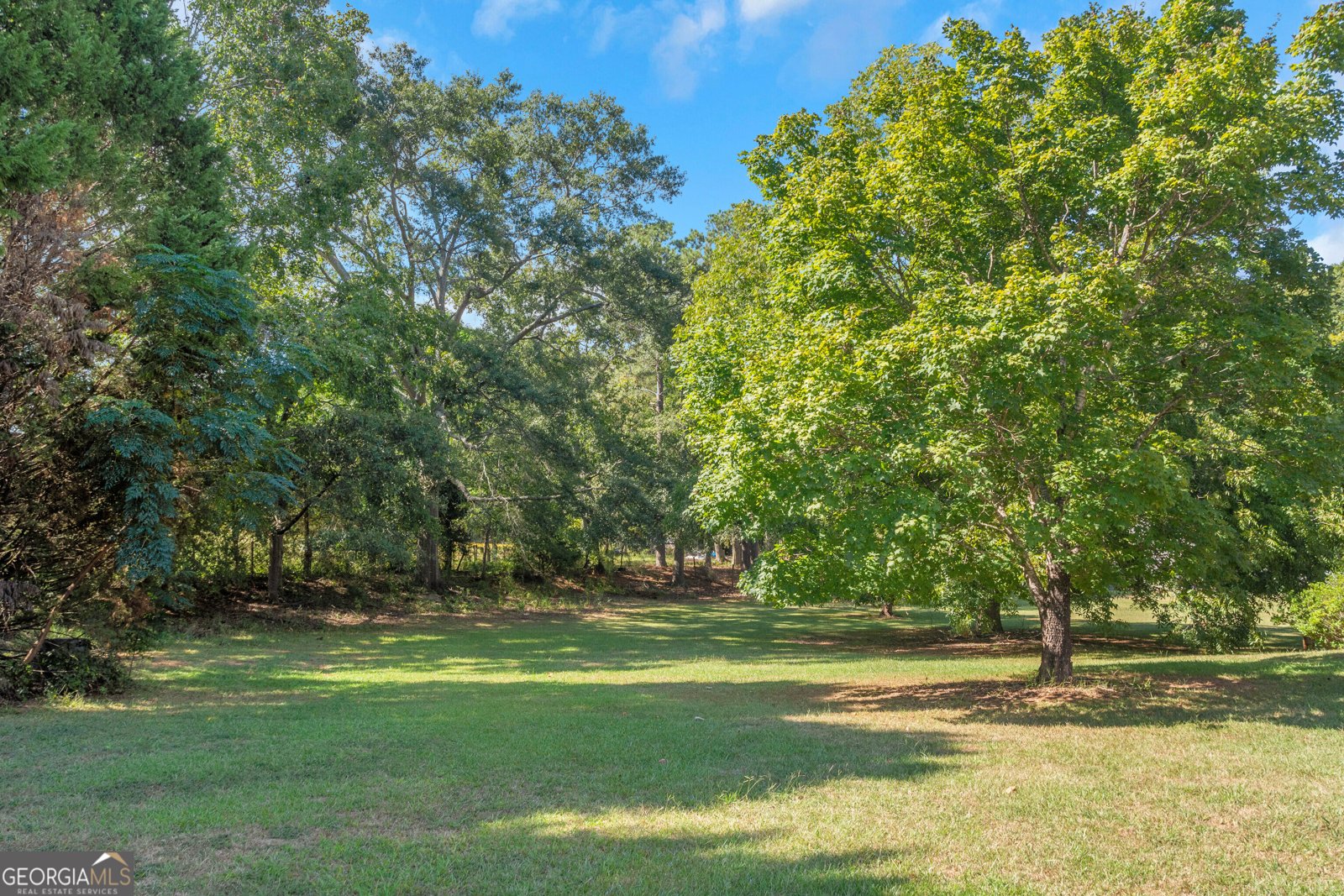 825 Bethany Road Locust Grove - 8