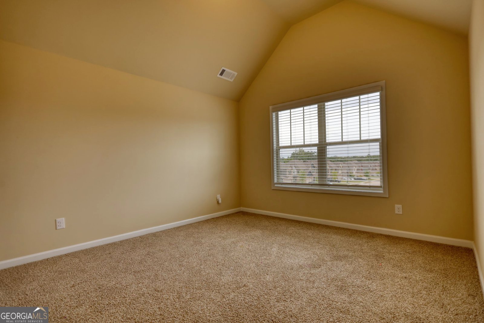 1223 Hartwell Road Locust Grove - 32