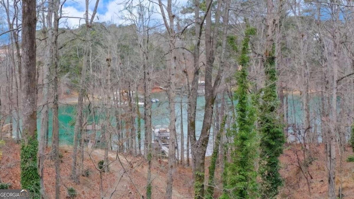 5775 Lakeshore Drive Buford - 4