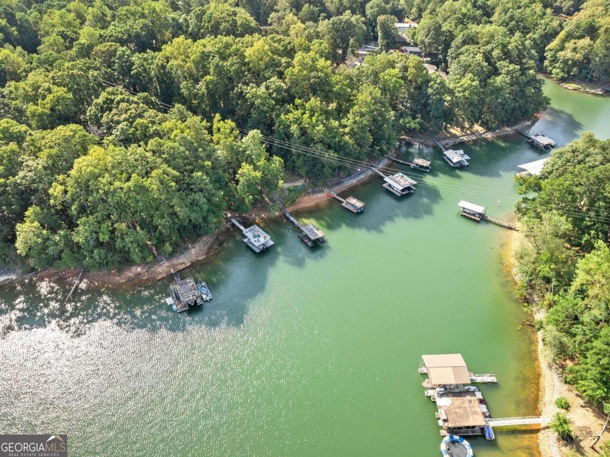 5775 Lakeshore Drive Buford - 61