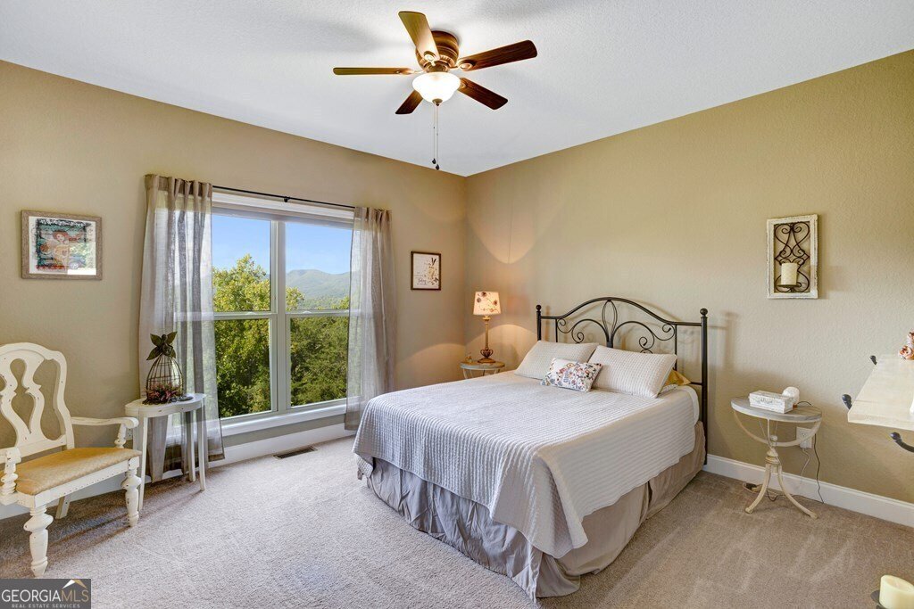 379 Chancey Drive Hiawassee - 21
