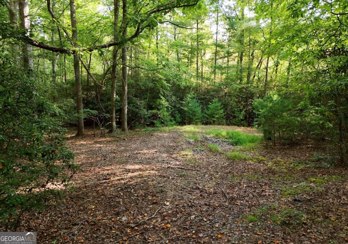 3008 Smyrna Road Young Harris - 26