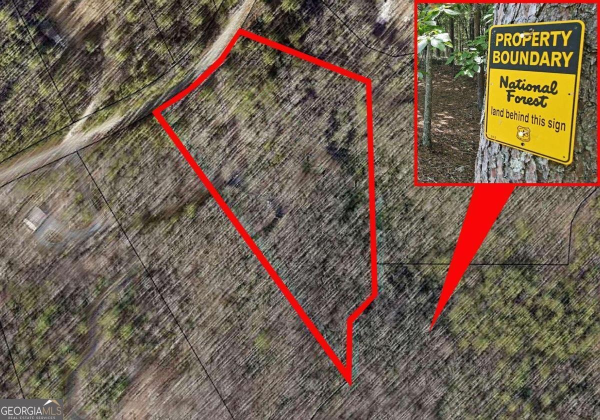 3008 Smyrna Road Young Harris - 31