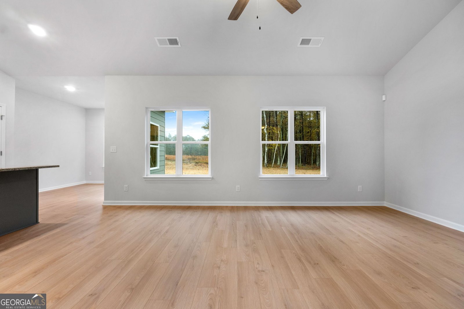 130 Charlie Fuller Road Grantville - 9