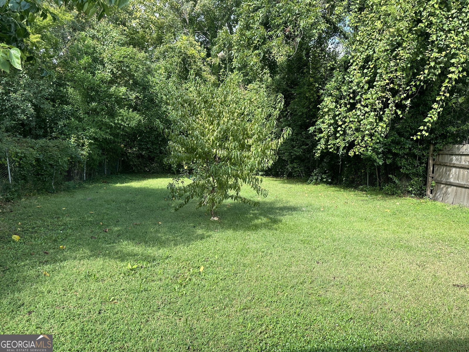 1216 Maynard Street Macon - 22