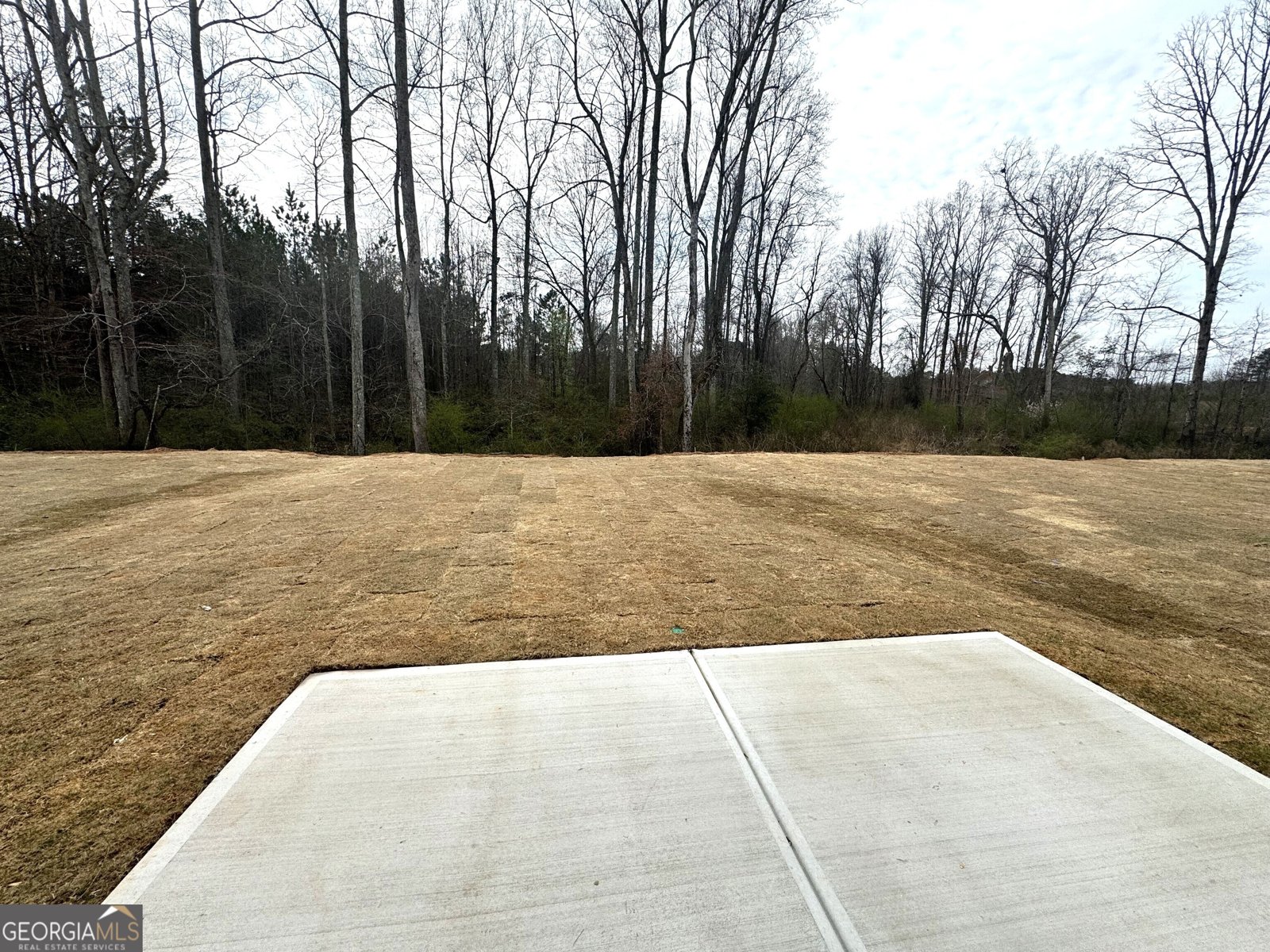 113 Vineyard Walk Carrollton - 22