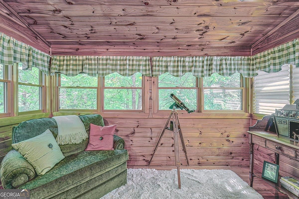 112 Hiawatha Trail Blue Ridge - 20
