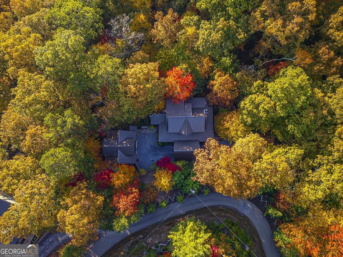 112 Hiawatha Trail Blue Ridge - 35
