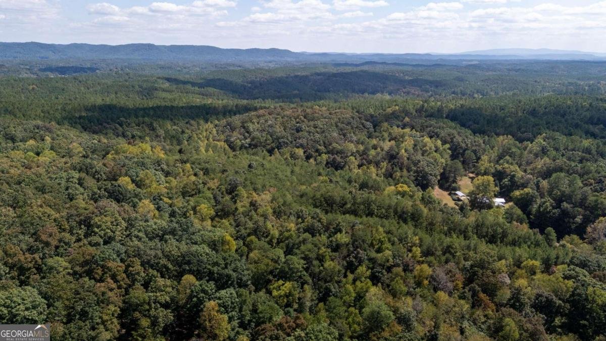 7169 Red Bud Road Ranger - 5