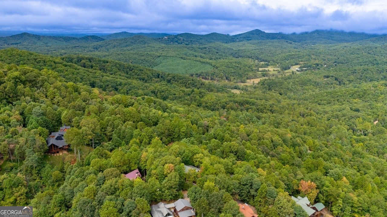 56 Kennebec Drive Mineral Bluff - 76