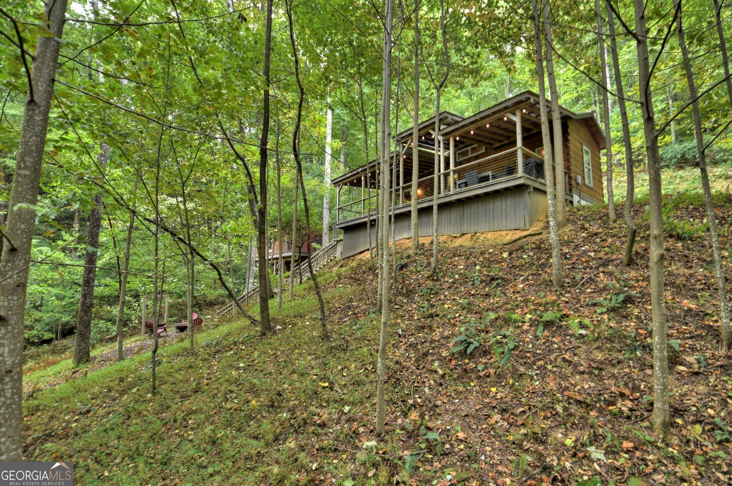 163 Chestnut Ridge Trail Blue Ridge - 13