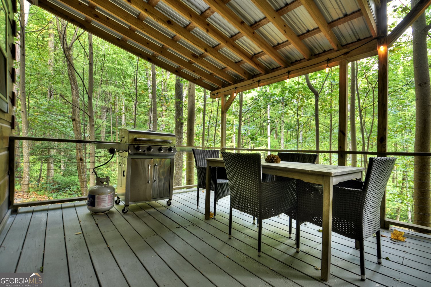 163 Chestnut Ridge Trail Blue Ridge - 15
