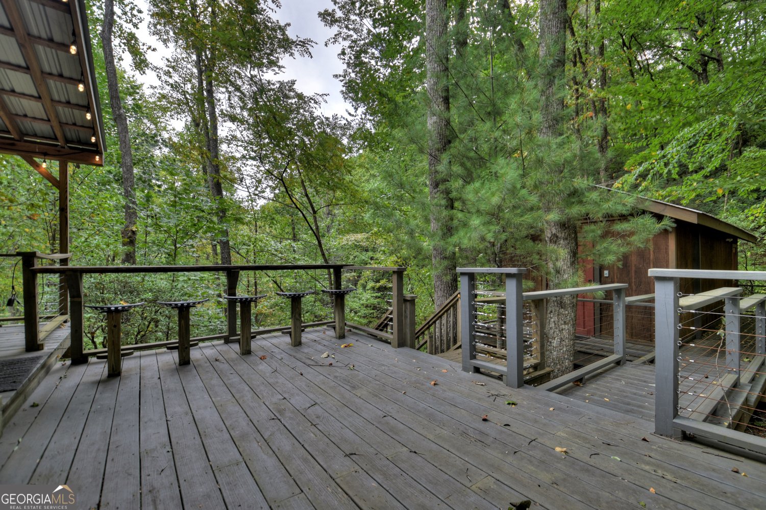 163 Chestnut Ridge Trail Blue Ridge - 3