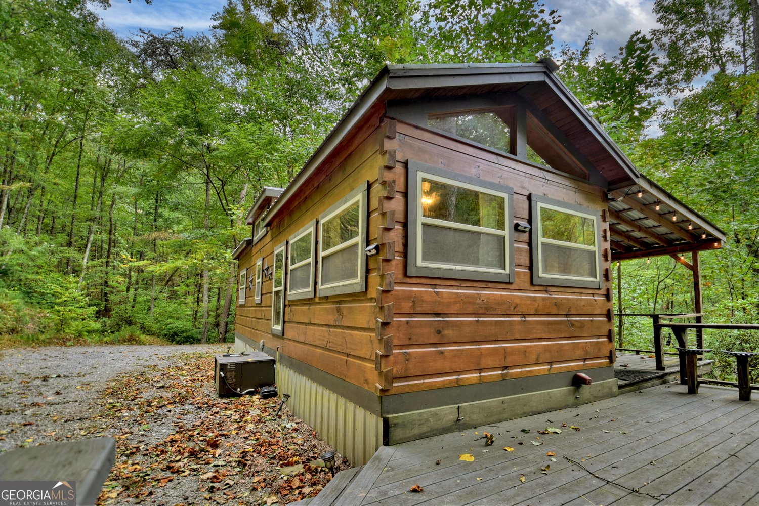 163 Chestnut Ridge Trail Blue Ridge - 4
