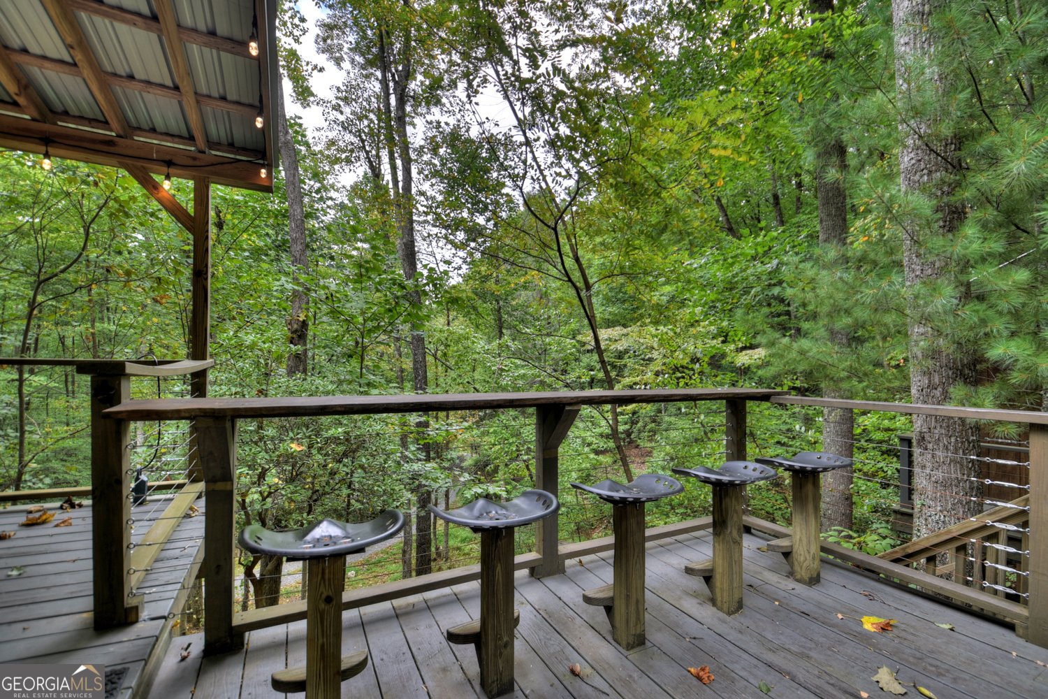 163 Chestnut Ridge Trail Blue Ridge - 6