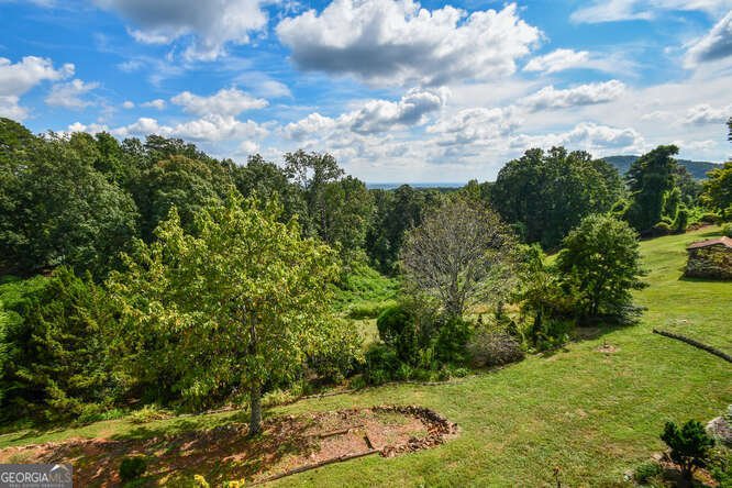 684 Grandview Avenue Mount Airy - 14