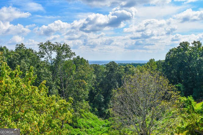 684 Grandview Avenue Mount Airy - 15