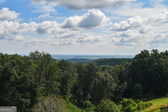 684 Grandview Avenue Mount Airy - 4