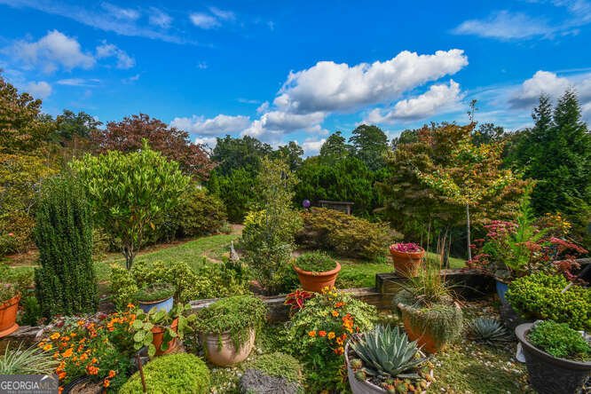 684 Grandview Avenue Mount Airy - 46