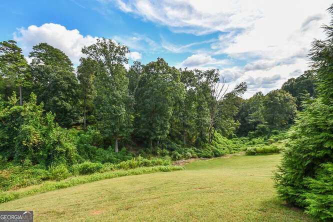 684 Grandview Avenue Mount Airy - 55
